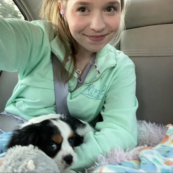 alicebusby